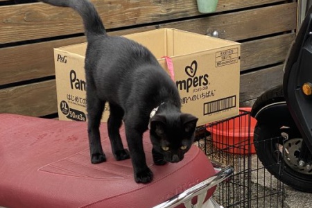 胡醒嵐/海外高中/106畢