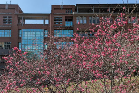 張同學/長億高中/111畢