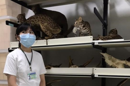 實習/科博館/營運典藏與資訊組