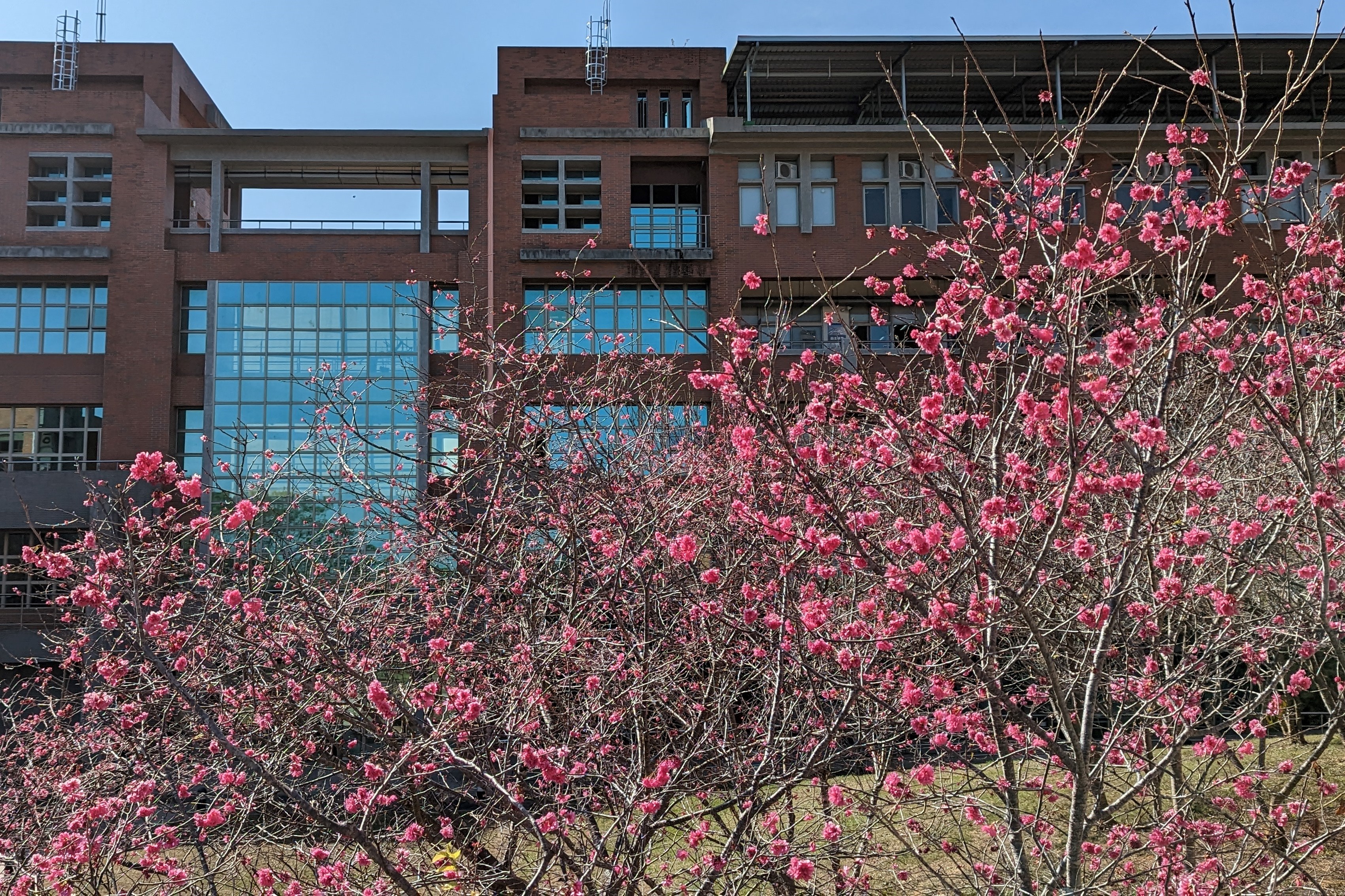 張同學/長億高中/111畢