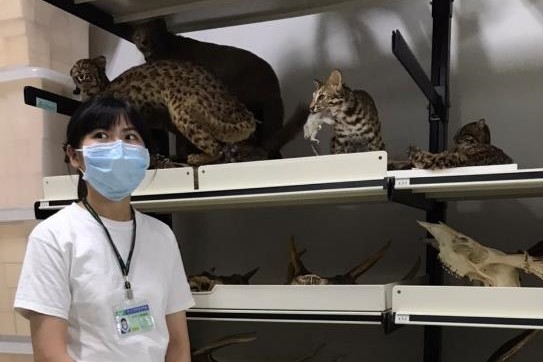 實習/科博館/營運典藏與資訊組